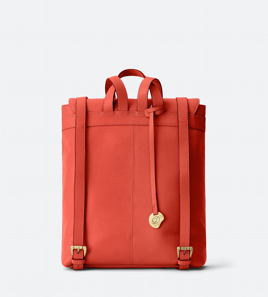 Large Backpack with Removable Clutch/Crossbody - The Cynthia