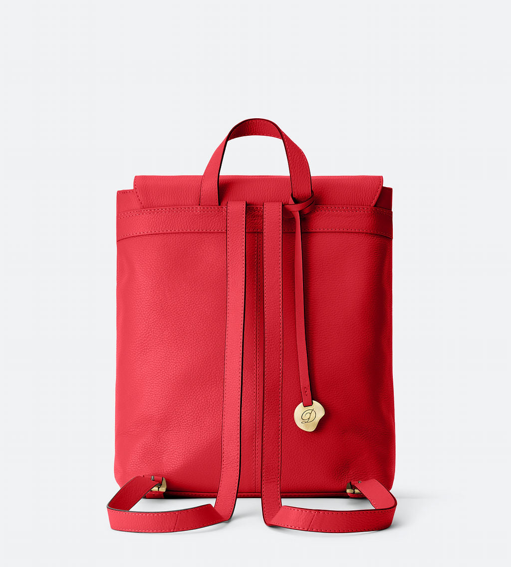 Large Backpack with Removable Clutch/Crossbody - The Cynthia